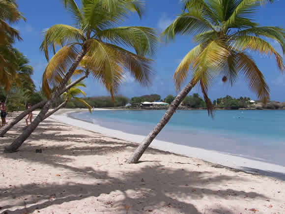 Martinica Beach